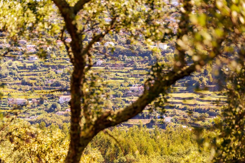 découvrez le charme du tourisme rural : des paysages pittoresques, des activités authentiques et une immersion dans la culture locale. évadez-vous du quotidien et profitez de la nature en visitant des villages accueillants et en savourant des produits du terroir.