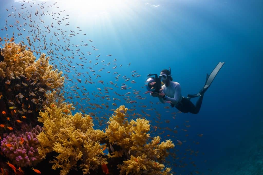 découvrez une expérience authentique qui vous plonge au cœur des cultures locales, des traditions vivantes et des rencontres inoubliables. vivez des moments uniques qui éveillent vos sens et enrichissent votre voyage.