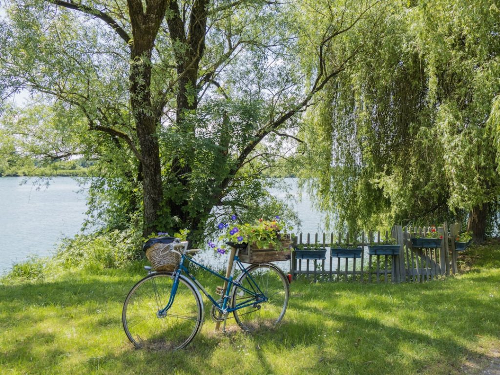 découvrez le rhône, un département emblématique de la région auvergne-rhône-alpes, riche en patrimoine culturel, paysages époustouflants et activités de plein air. explorez ses villes dynamiques, dégustez des spécialités culinaires et laissez-vous séduire par la beauté naturelle des bords du rhône.