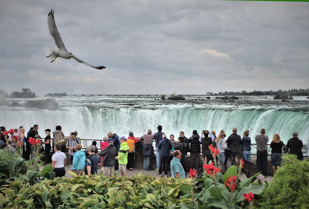 découvrez le monde fascinant du tourisme, où chaque voyage est une aventure unique. explorez des destinations exotiques, des cultures diverses et des expériences inoubliables qui enrichissent votre esprit et élargissent vos horizons.